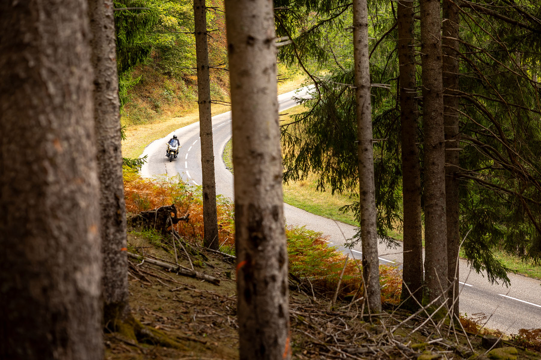 Honda GoldWing touring a winding secondary road through the French countryside