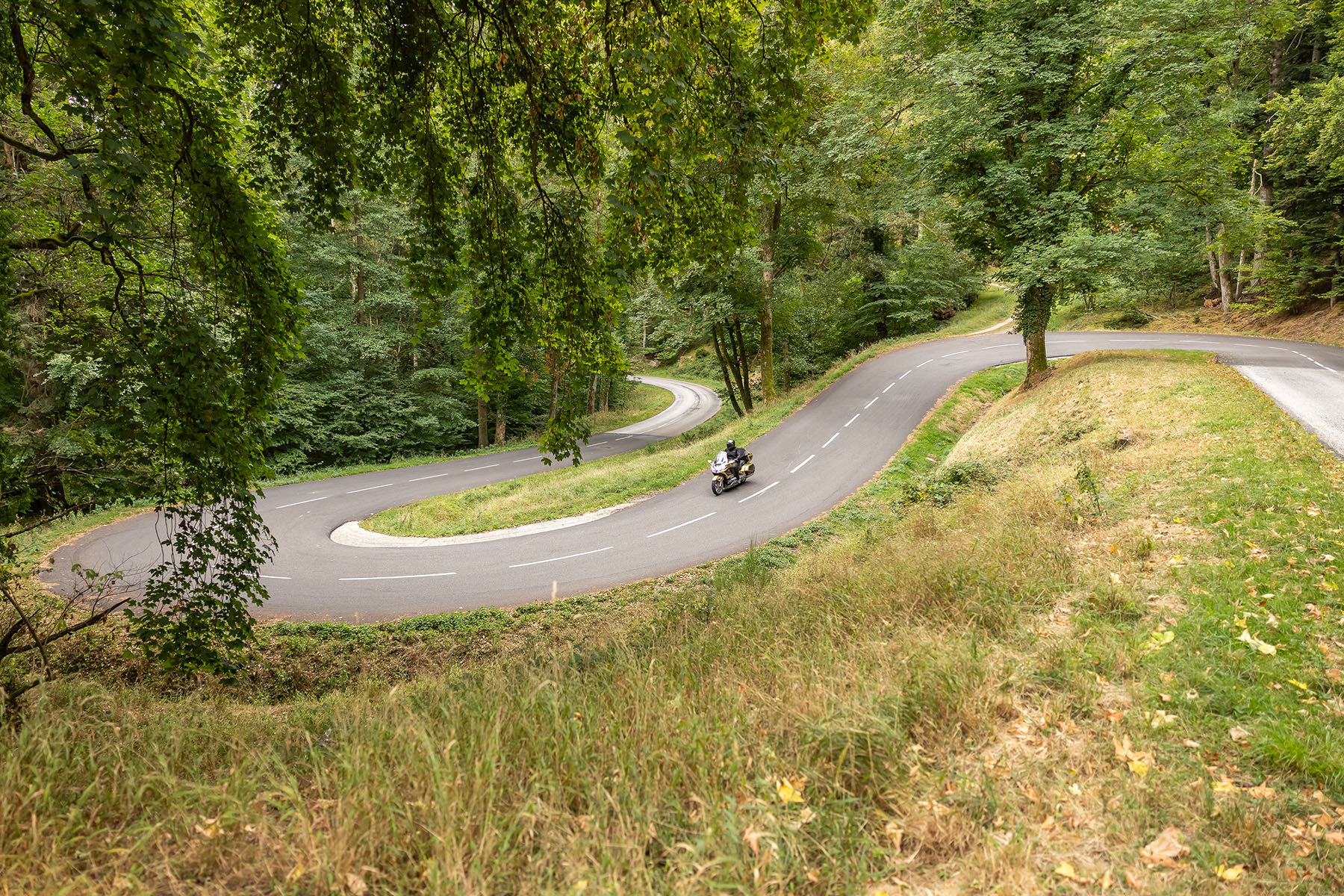 Honda GoldWing leaning through a tight mountain corner in the Vosges